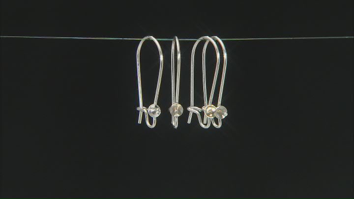 Stainless Steel Kidney Shaped Earwire with Cup and Peg in 3 Sizes Appx 30 Pairs Total Video Thumbnail